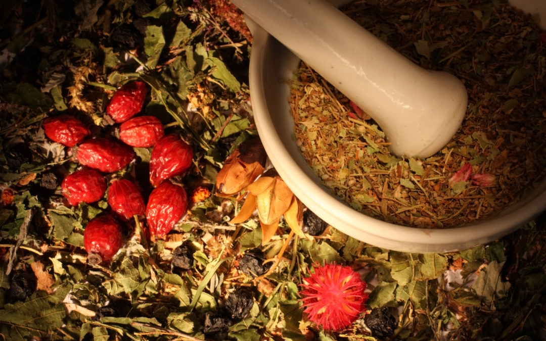 Keeping Your Immune System Strong! Tips, Tricks, and Treats!