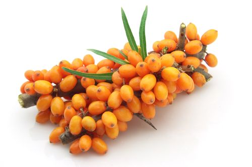 Hippophae Rhamnoides: Little Berry With Big Benefits