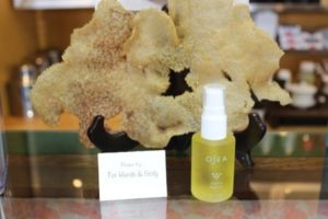 How Undaria Pinnatifida Can Improve Your Skin Health undariaOilDisplay 300x200 - How Undaria Pinnatifida Can Improve Your Skin Health